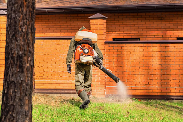 Trusted Cockroach Control service in Ashland, NE - Nex Pest Control